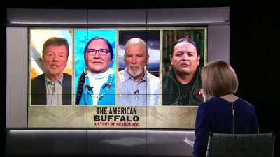 I mean, the buffalo is,
you know, from, - The American Buffalo