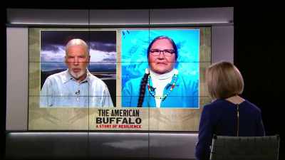 I mean, they, in effect, - The American Buffalo