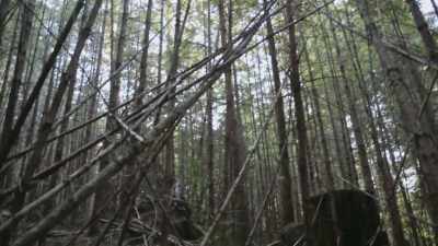 I mean, this to me,
does not stand out - Expedition Bigfoot