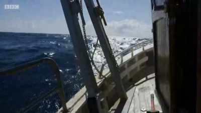 I mean, who would have thought
I'd have been out here? - Cornwall: This Fishing Life