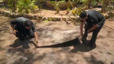 I mean, if you could
smell this right now, - Eva Longoria: Searching for Mexico