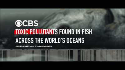 I mean,
you name your industrial pollutant, - Seaspiracy