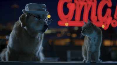 I might be old, but these
paws still know how to fight. - Cats & Dogs 3: Paws Unite