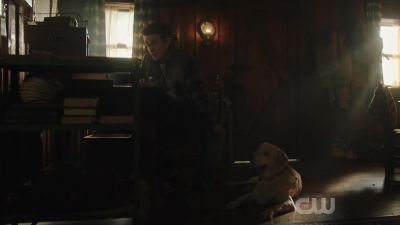 I might sleep on it.
I'm still figuring things out. - Riverdale