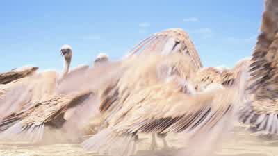 I missed 'emI'm gonna get one of those vultures one dayI'm gonna get oneI don't know why it's so important to youI just feel like it would make me feel betterOh no It's a little lionThat is not a lion Well then go check it outWhat is it That is not a - The Lion King