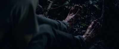 I was more scared than you, - Jungle