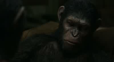 I must do something to stop him. - Dawn of the Planet of the Apes