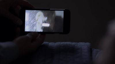 I must have watched
it a hundred times - Homeland