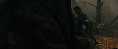 I must leave you. - Into the Woods