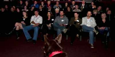 I must say I think
that's probably a wiser call - Koko: A Red Dog Story