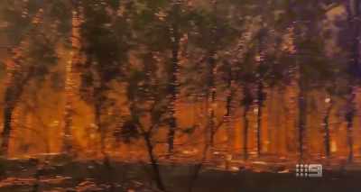 I must say, that's probably
the only time in my life - A Fire Inside