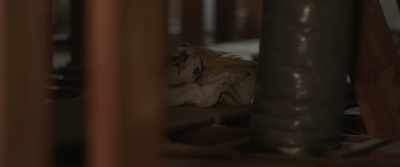 I mean it's hidden, - The Civil Dead