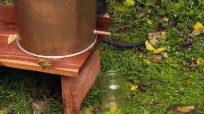   I need a coon pecker. - Moonshiners: Master Distiller