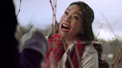 I need a family-oriented
vineyard - A Vineyard Christmas