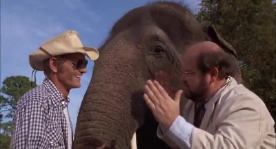 I need a tongue depressor about this big - Smokey and the Bandit II