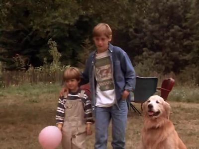 I need to eat some grass - Homeward Bound: The Incredible Journey