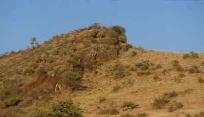 I need to find a way
to climb this mountain - Man vs. Wild