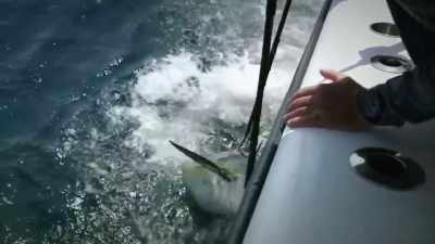  I need another gaff. - Deadliest Catch: Bloodline