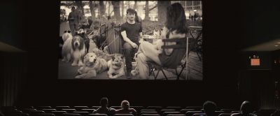I need help with my dog - Trainwreck