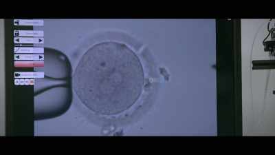 I need to open the shell of the cell. - Unnatural Selection