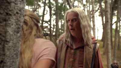 I need to remove
the Wizard's web - Legend of the Seeker