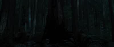 I need Sam to wait until Bella's been separated from the problem. - The Twilight Saga: Breaking Dawn - Part 1