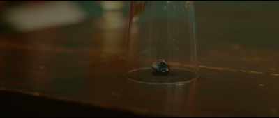 - I need to take it home
so I can study it. - Theodosia
