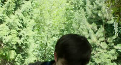 I need to see to Ms. - Miss Peregrine's Home for Peculiar Children