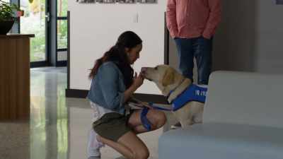 I need you to take
what you learned - Guiding Emily
