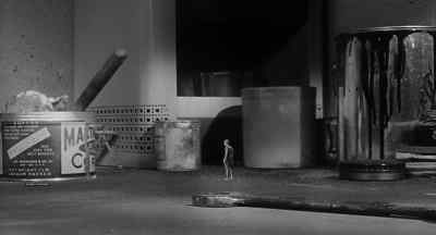 I never doubted that
sometime Louise would come. - The Incredible Shrinking Man