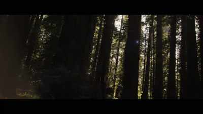I never go out in the
field without pepper spray - Sasquatch