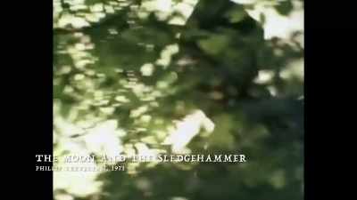 I never go - Woodlands Dark and Days Bewitched: A History of Folk Horror