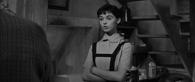 I never heard grown ups quarrel like that before - The Diary of Anne Frank