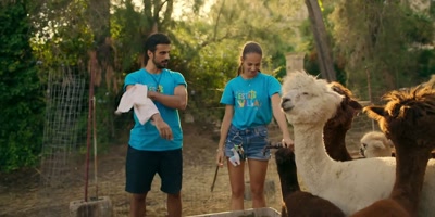 I never in my life would have imagined
finding alpacas in Sicily. - The Hottest Summer