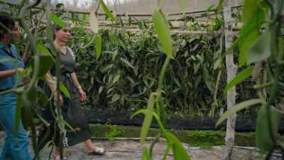 I never knew they were vines.
- Yes. - Eva Longoria: Searching for Mexico