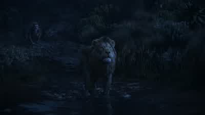 I never left youAnd never willRemember who you are - The Lion King