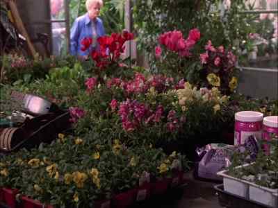 I never meant to kill him. - Murder, She Wrote