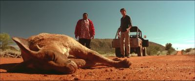 I never saw it - Kangaroo Jack