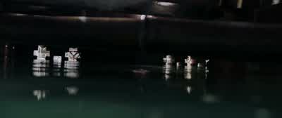 I never thought it would end like this. - Crawl