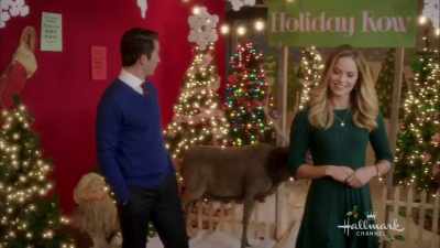 I never would've imagined that
there was enough Christmas stuff - Sharing Christmas