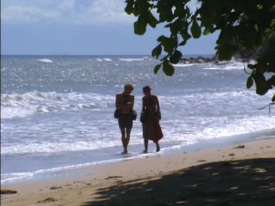  Next week on Survivor...        - Survivor