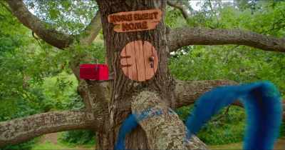 I had no choice
but to sweep you away from him. - Woody Woodpecker Goes to Camp