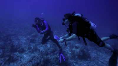 I had no idea
that these issues were so advanced. - Chasing Coral
