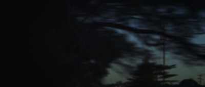 I was not gonna go to Harvard. - Master of Light