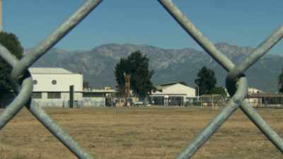 I had nothing but the
authorities telling me - The Wisdom of Trauma