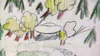 I noticed that there was
a large shape amongst the trees, - Ariel Phenomenon