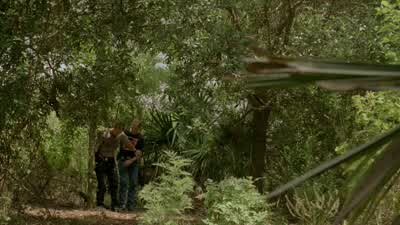 Now, this enabled us to discern the suspect's path while sidestepping various anti-intruder devices they installed. - True Detective