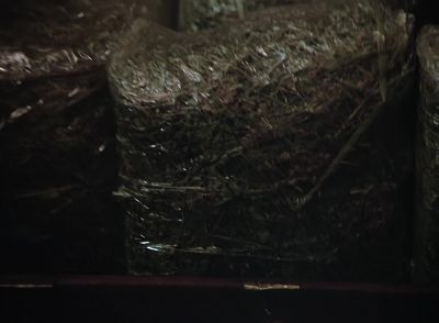 Oh, wow! - Magnum, P.I.
