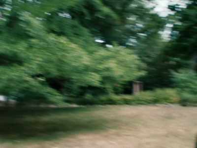 I observe Is that nothing - Fabian: Going to the Dogs