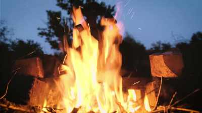 I was on a camping
trip and woke up - Secrets of the Sasquatch